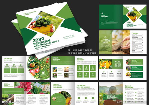 果蔬画册设计 视觉诱惑与营销的艺术结合